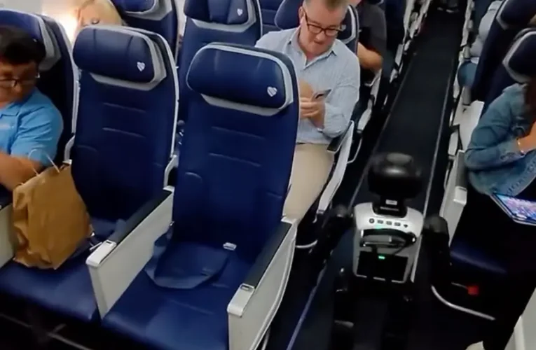 Авиакомпания Southwest Airlines запретила перевозку роботов после того, как гуманоид по имени «Стьюи» совершил авиаперелёт